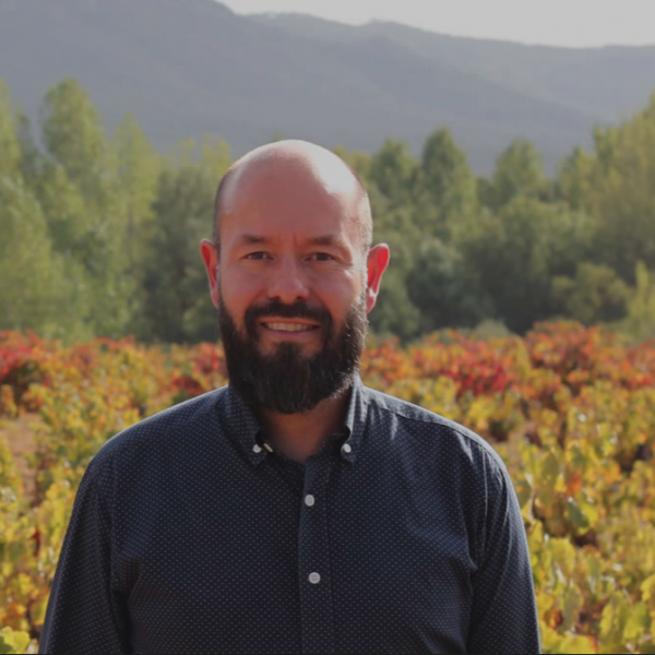 Vins del Comtat (ES)